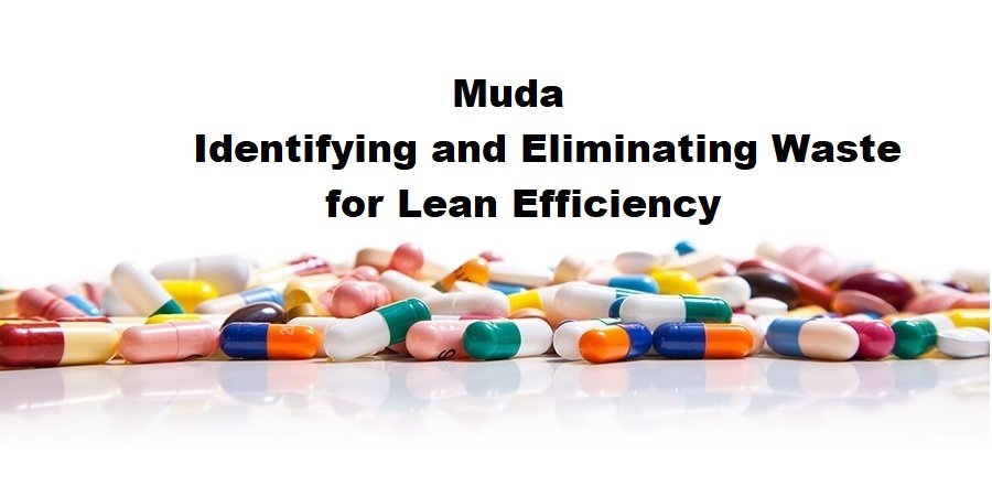 Muda: Identifying and Eliminating Waste for Lean Efficiency